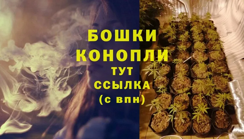 хочу   Богородицк  Шишки марихуана SATIVA & INDICA 